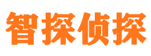 双柏市私家侦探